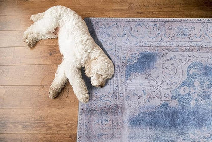 GLN Rugs Traditional Collection - Machine Washable Area Rug, Traditional Washable, Non Slip, Low Pile Chenille Rug, Living Room, Bedroom, Kitchen Rug (2' x 3' Cream/Navy)