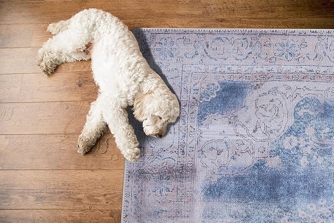 GLN Rugs Traditional Collection - Machine Washable Area Rug, Traditional Washable, Non Slip, Low Pile Chenille Rug, Living Room, Bedroom, Kitchen Rug (8' x 10' Cream/Navy)