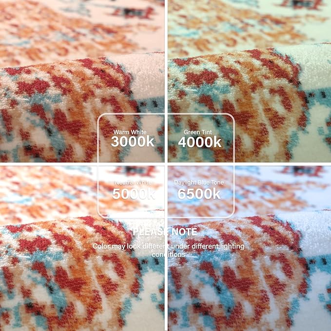 Lahome Orange 6x9 Area Rugs Boho Washable Area Rug for Bedroom,Large Area Rugs for Living Room Dining Room,Bohemian Vintage Non Slip Low Pile Indoor Accent Carpet for Home Office(6x9ft,Orange)