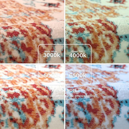 Lahome Orange 6x9 Area Rugs Boho Washable Area Rug for Bedroom,Large Area Rugs for Living Room Dining Room,Bohemian Vintage Non Slip Low Pile Indoor Accent Carpet for Home Office(6x9ft,Orange)