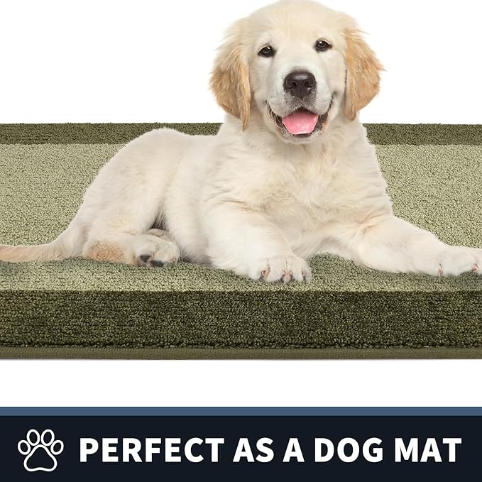 PURRUGS Dirt Trapping Door Mat 24" x 70", Non-Slip/Skid Machine Washable Entryway Rug, Shoes Scraper, Throw Rug, Super Absorbent Area Rug for Muddy Wet Shoes and Paws, Budding Green & Sage Green