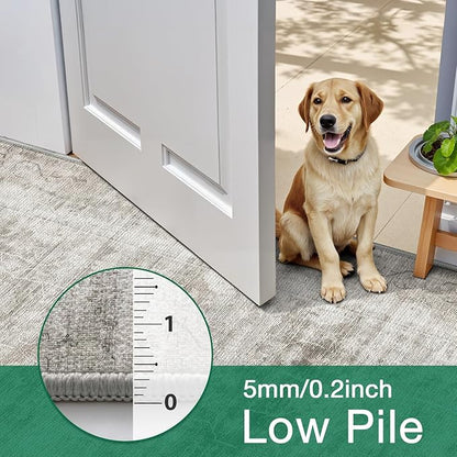 LUMI 4x6 Washable Area Rug for Living Room, Ultra Soft Modern Neutral Grey Rugs Non Slip with Rubber Backing, Low Profile, High Traffic, Stain Resistant Carpets, Ideal for Bedroom, Dining Room