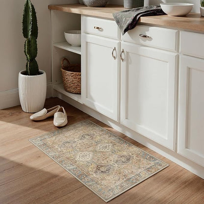 Bavni Clearance 2x3 Rugs for Entryway Indoor, Machine Washable Area Rug Non Slip, Vintage Distressed Throw Rugs, Ultra-Thin Small Entry Carpet, Low Pile Door Mat for Entrance, Bedroom, Bathroom, Wood