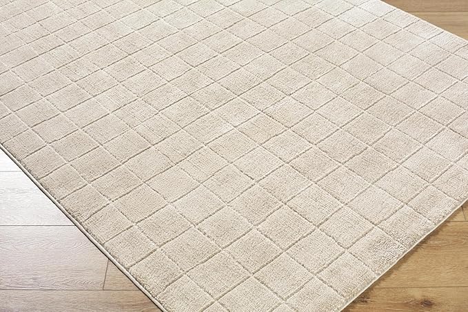 Livabliss x Our PNW Home Cascade Minimalist Grid Area Rug, 2'7" x 7'3", Light Beige