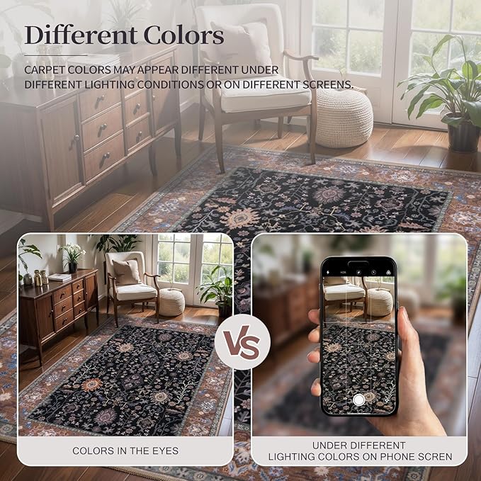 Ciicool Small Area Rug, 2x3ft Boho Black Rug, Ultra Soft Entry Rugs for Entryway, Non-Slip Washable Rugs Oriental Low-Pile Indoor Mat Floor Carpet for Entrance Bedroom Kitchen Bathroom Foyer Decor