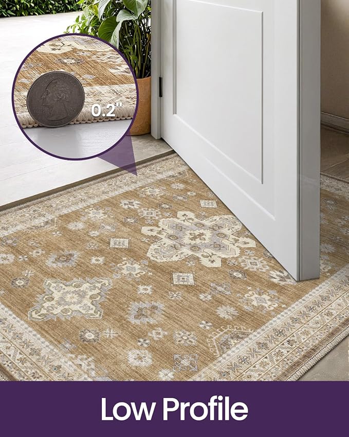 DEXI Area Rugs for Entryway 2x3, Washable Low Pile Vintage Traditional Entry Rug Non Slip, Small Indoor Door Mat for Bedroom Kitchen Entrance Hallway, Light Brown
