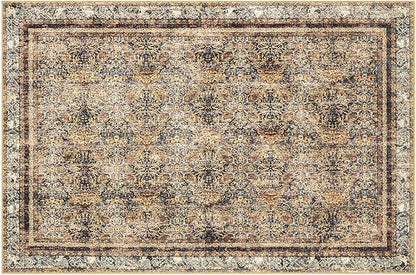 Phantoscope Washable Area Rug 8'x10' Non-Slip, Vintage Neutral Rugs for Living Room, Bedroom, Dining Room, Distressed Boho Floral Medallion Pattern, Low-Pile Foldable Carpet, Brown/Charcoal Spice