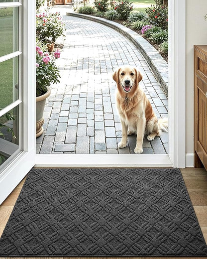 LUMI Indoor Door Mat, Absorbent Non-Slip Thin Doormat, Washable Door Mats, Woven Pattern Inside Floor Mat, Ideal for Entryway, Front Door, Home Decor, 17"x30", Woven Grey