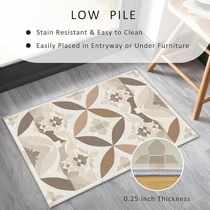 Geometric Rug, Washable 4x6 Rug for Living Room, Modern Abstract Patterned Indoor Carpet, Geometric Decor for Home, Bedroom, Soft Non Slip Thin Design FER86