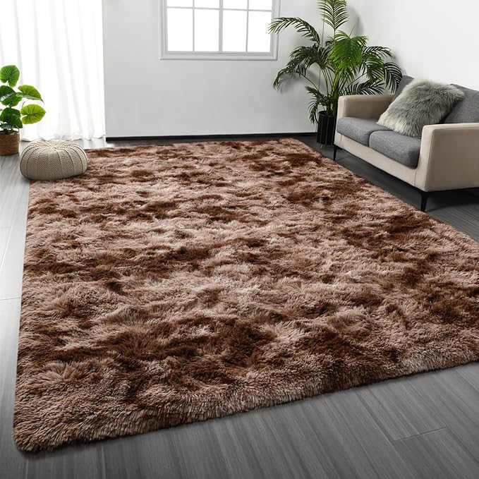 Shag Area Rug, 4 X 6 Tie-Dyed Plush Fuzzy Rugs for Living Room, Ultra Soft Fluffy Furry Rug for Bedroom, Indoor Carpet Nursery Rugs for Kids Room Home Decor, Coffee