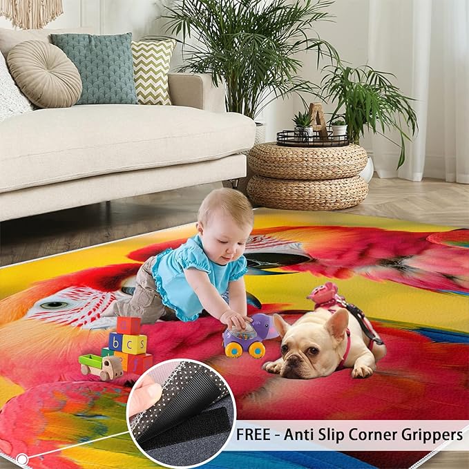 Parrot Rugs for Bedroom - 2x3 Area Rug - Cute Parrot Rugs for Living Room, Colorful 3D Animal Rug, Non-Slip Washable Home Decor Carpet