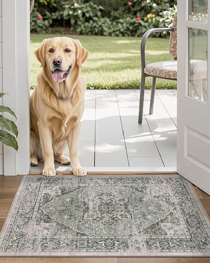 LUMI Indoor Door Mat 17x30, Washable Low Pile Entry Rug with Non-Slip Rubber Backing, Durable Welcome Mat for Entryway, Hallway, Patio, or Porch