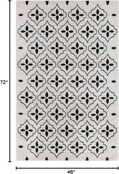 Nourison Home Nourison Essentials Ivory Black 4' x 6' Area Rug - Easy Clean, Non Shedding, Bed Room, Living Room, Dining Room, Kitchen (4' x 6')