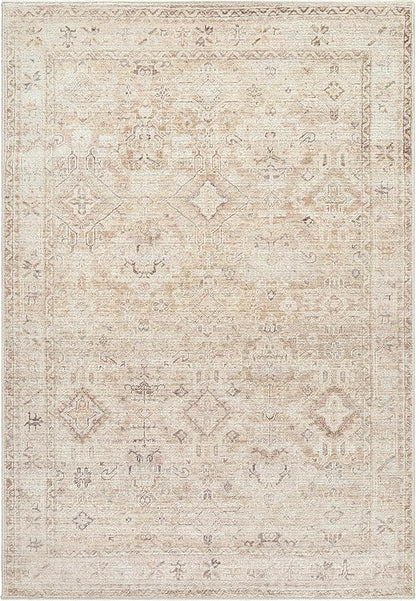 Hauteloom Nakia Living Room, Bedroom Area Rug - Traditional - Beige, Taupe, Ivory - 7'9" x 10'