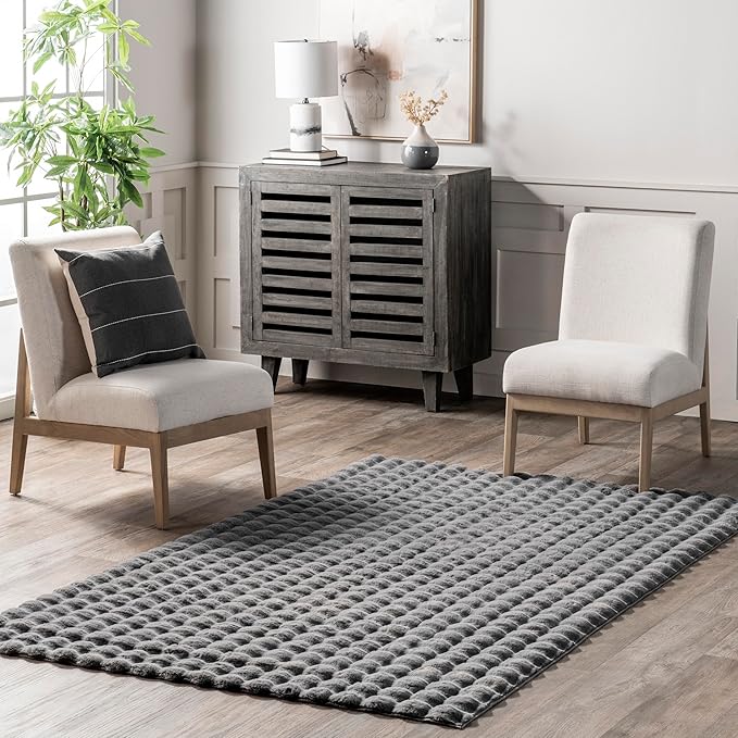 nuLOOM Jeni Dark Grey, 2' x 3', Solid Faux Rabbit, Fluffy and Cozy, High Traffic, Stain Resistant, Easy Clean, Durable Washable Area Rug for Bedroom, Living Room, Dining, Den, Foyer, Entryway