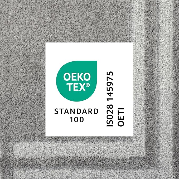 Town & Country Everyday Cloud Shag Plush Border Area Rug with High-Low Pile, Grey, 7'10"x10'2"