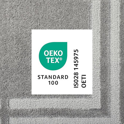 Town & Country Everyday Cloud Shag Plush Border Area Rug with High-Low Pile, Grey, 6'6"x9'6"