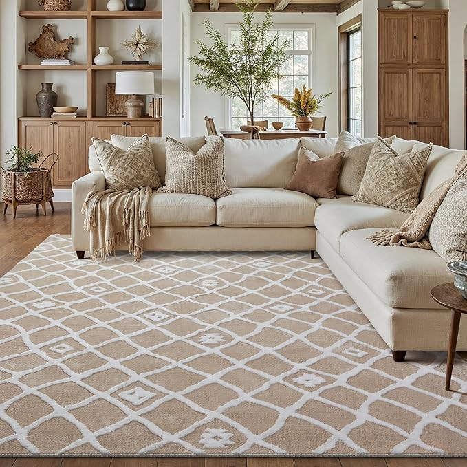 Beige 6x9 Area Rug Moroccan Shag Living Room Washable Carpet Soft Non Shedding Neutral Boho Plush Pile Modern Large Throw Rug for Office Bedroom Dining Room Playroom