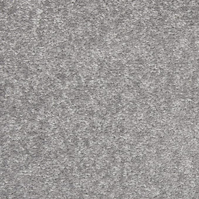 Nourison Home Nourison Essentials Silver Grey 6' x Round Area Rug - Easy Clean, Non Shedding, Bed Room, Living Room, Dining Room, Kitchen (6' x Round)