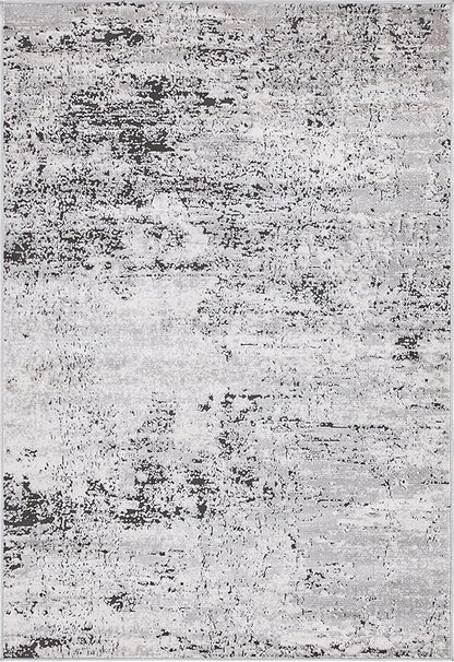 Rugs.com Leipzig Collection Area Rug – 4X6 Grey Low-Pile Rug Perfect for Entryways, Kitchens, Breakfast Nooks, Accent Pieces