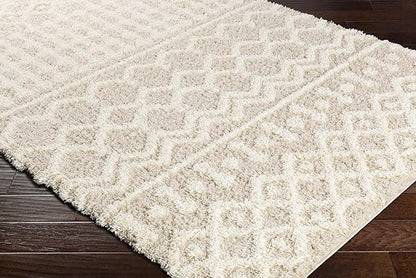 Livabliss Hapsburg Moroccan Shag Area Rug, 2'7" x 5', Beige