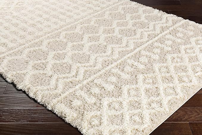 Livabliss Hapsburg Moroccan Shag Runner Area Rug, 2'7" x 7'3", Beige