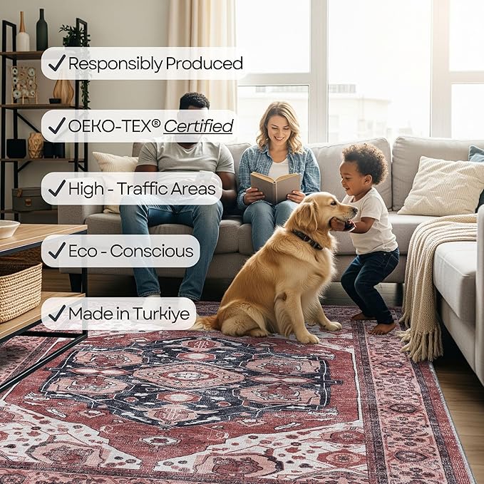 Fame Rugs Turkish Rug. Washable Vintage Oriental Antique Inspired Traditional Doormat Small Modern Area Rugs Luxury Entryway Entry Bedroom Bathroom Kitchen (404RR, 2'5 x 13'1)