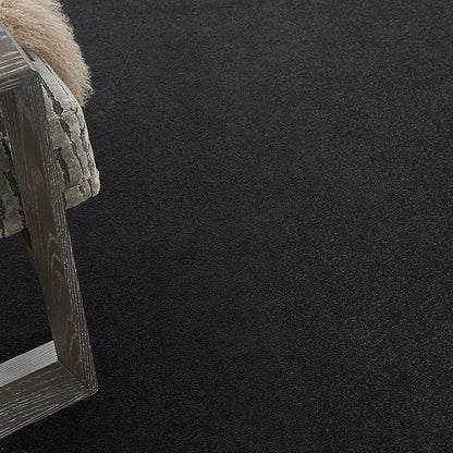Nourison Home Nourison Essentials Black 9' x 12' Area Rug - Easy Clean, Non Shedding, Bed Room, Living Room, Dining Room, Kitchen (9' x 12')