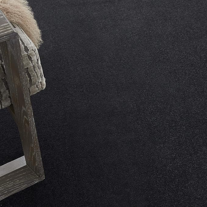 Nourison Home Nourison Essentials Black 8' x 11' Area Rug - Easy Clean, Non Shedding, Bed Room, Living Room, Dining Room, Kitchen (8' x 11')