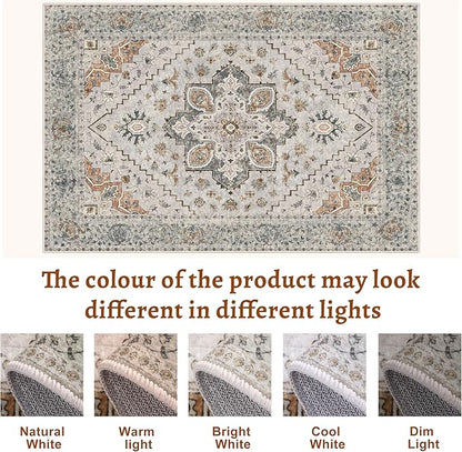 Tangsoo Vintage Small Washable Rugs for Entryway, 2x3 Rug Non Slip Grey Rug Throw Accent Indoor Front Door Distressed Door Mat, Soft Low Pile Area Rugs for Entrance Kitchen Bathroom