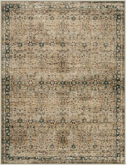 Moynesa Brown 8x10 Area Rugs for Living Room, Vintage Boho Washable Area Rug for Bedroom Dining Room Office, Low Pile Soft Non-Slip Retro Carpets for Kitchen Indoor Nursery
