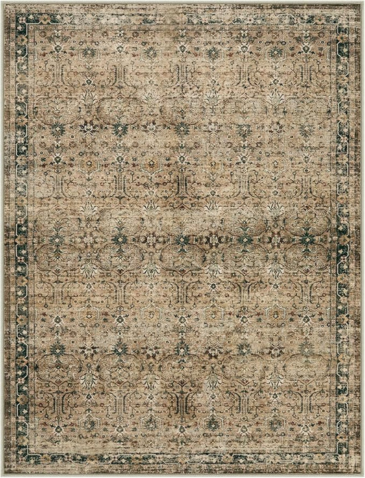 Moynesa Brown 8x10 Area Rugs for Living Room, Vintage Boho Washable Area Rug for Bedroom Dining Room Office, Low Pile Soft Non-Slip Retro Carpets for Kitchen Indoor Nursery