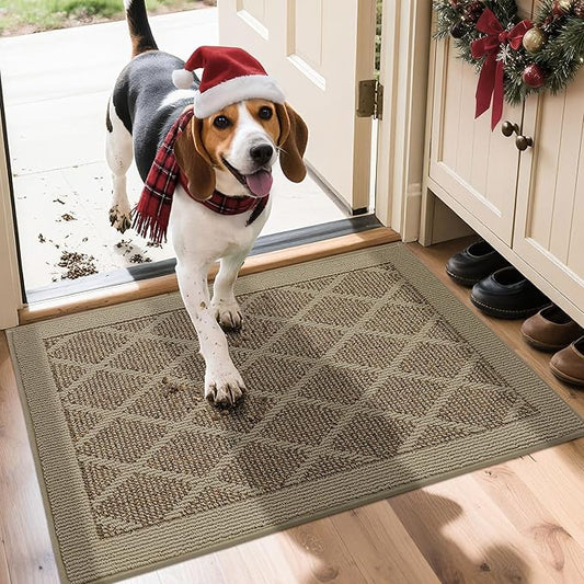 COSY HOMEER Non-Slip Door Mat 20"x32", Entryway Rugs Low Profile Absorbent Dirt Trapper Doormat for Front Entrance, Washable Polypropylene Entry Mat (Beige)