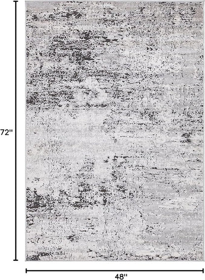 Rugs.com Leipzig Collection Area Rug – 4X6 Grey Low-Pile Rug Perfect for Entryways, Kitchens, Breakfast Nooks, Accent Pieces