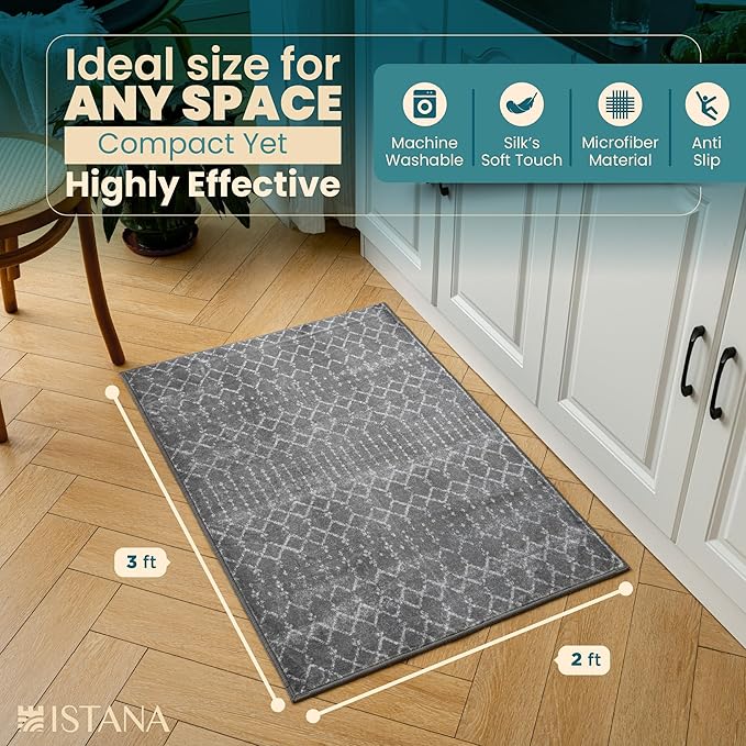 Istana 2x3 Area Rug - Dark Grey Boho Rugs for Living Room 2x3 - Foldable Small Rugs for Bedroom - Stain Resistant Washable Rug Non Slip - Eco-Friendly Area Rugs Indoor
