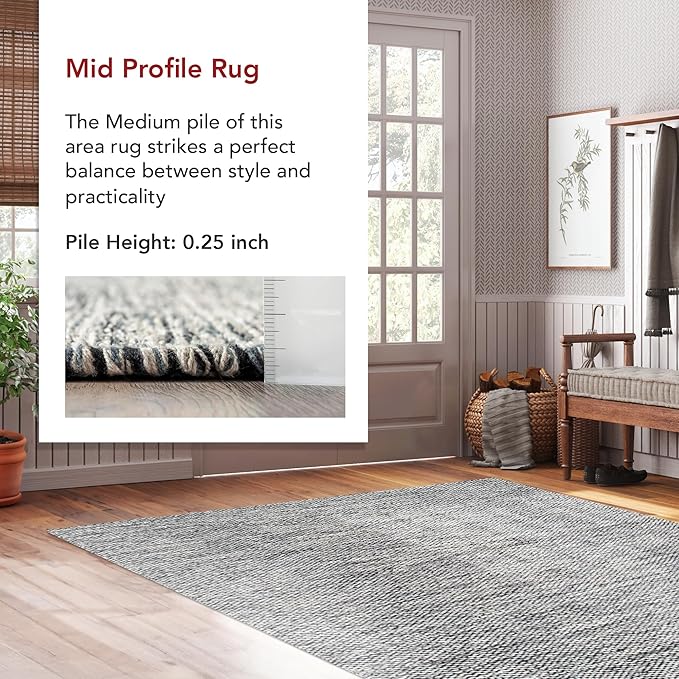 nuLOOM Alessi Solid Farmhouse Cotton Accent Rug, 2x3, Grey
