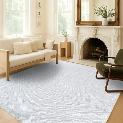 Fame Living Washable Area Rug. Modern Farmhouse. Vintage. Turkish. Bohemian. Distressed. Oriental. Traditional. Rugs for Living Room. Dining. Bedroom. Office. Entryway. Foyer. (864CC, 2'5" x 6'5")
