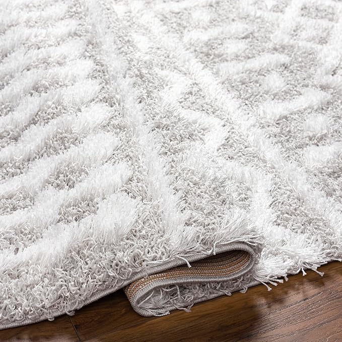Livabliss Hapsburg Moroccan Shag Area Rug, 2' x 2'11", Light Gray