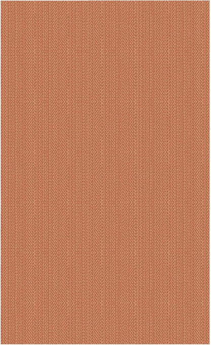 IOHOUZE Washable Area Rug 3x5 Non Slip Rubber Backed Woven Rugs for Entryway Rugs Indoor Outdoor Doormat Throw Rug Floor Carpet for Entrance Kitchen Front Door, Rustic Orange