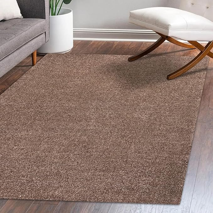 Eyely UES100J-4 Supersoft Haze Solid Low-Pile Indoor Area Rug Casual;Contemporary;Solid;Traditional, Bedroom, Kitchen, Living Room, Easy-Cleaning, Non-Shedding, 4 X 6, Brown