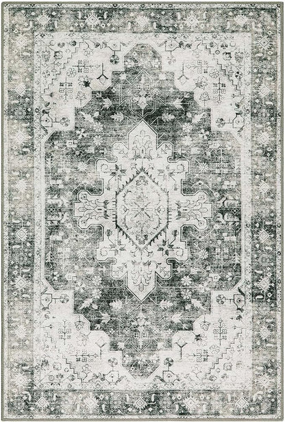 Moynesa Ultra-Thin Washable Area Rug - 2x3 Small Grey Front Door Rug Kitchen Mat, Non Slip Non Shedding Pet Friendly Bathroom Carpet for Office Laundry Powder Room Bedside Hardwood Floor