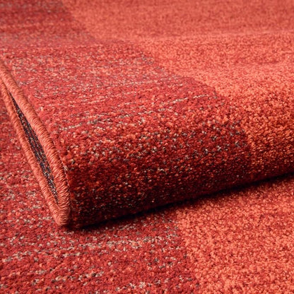 Rugs.com Angelica Collection Rug – 7' x 10' Terracotta Medium Rug Perfect for Bedrooms, Dining Rooms, Living Rooms