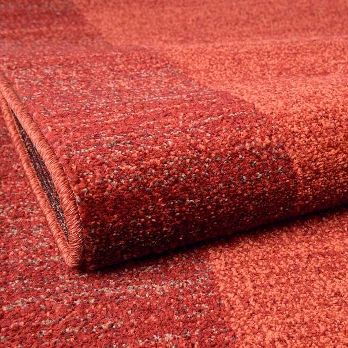 Rugs.com Angelica Collection Rug – 10' x 13' Terracotta Medium Rug Perfect for Living Rooms, Large Dining Rooms, Open Floorplans