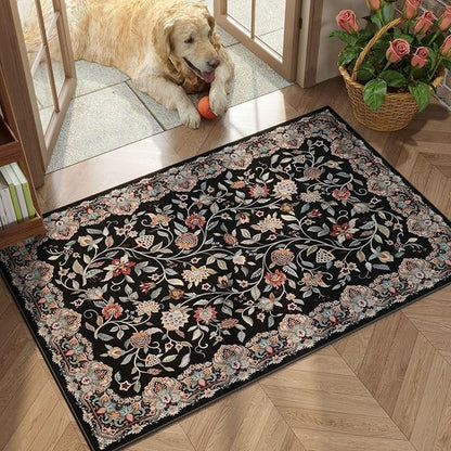Rugcomf 2'x3' Entryway Rug - Paisley Pattern, Door Mat Indoor Entrance, Floral Vintage, Machine Washable, Non-Slip Low Pile Area Rug for Kitchen, Front Door, Kids Room - Black