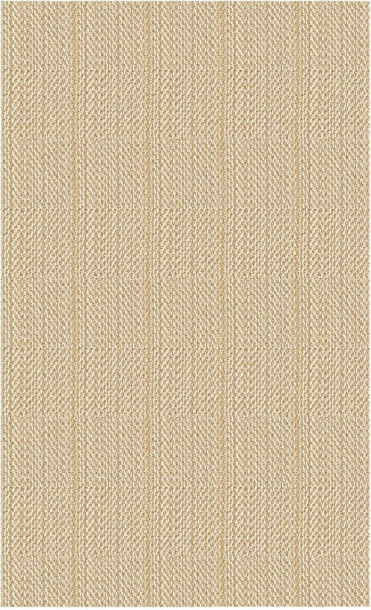IOHOUZE Washable Area Rug 3x5 Non Slip Rubber Backed Woven Rugs for Entryway Rugs Indoor Outdoor Doormat Throw Rug Floor Carpet for Entrance Kitchen Front Door, Warm Beige/Orange/Apricot