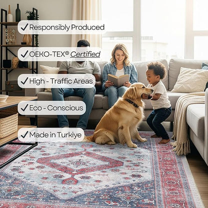 Fame Rugs Turkish Rug. Washable Vintage Oriental Antique Inspired Traditional Doormat Small Modern Area Rugs Luxury Entryway Entry Bedroom Bathroom Kitchen (402RN, 2'5 x 6'9)