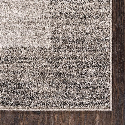 Rugs.com Angelica Collection Rug – 4' x 6' Light Gray Medium Rug Perfect for Entryways, Kitchens, Breakfast Nooks, Accent Pieces