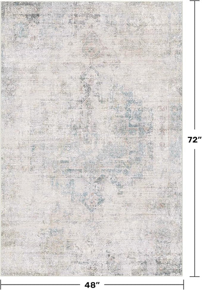 Washable 4x6 Rug for Small Living Room, Area Rug for Kitchen, Bedside, Large Entryway Indoor - Stain Resistant Non Slip with Rubber Backing, Unique Floral Aethestic Décor, Light Blue & Gray