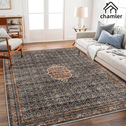 Washable Area Rug 10'x14' Boho Chic Medallion Distressed Design Non-Shedding Easy Care Ideal for High Traffic Areas in Rug for Living Room Bedroom Office Coffee Table Large Carpet