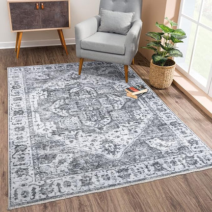 Bloom Rugs Caria Washable Non-Slip 3x5 Rug - Silver/Dark Gray Traditional Area Rug for Living Room, Bedroom, Dining Room, and Kitchen - Exact Size: 3' x 5'
